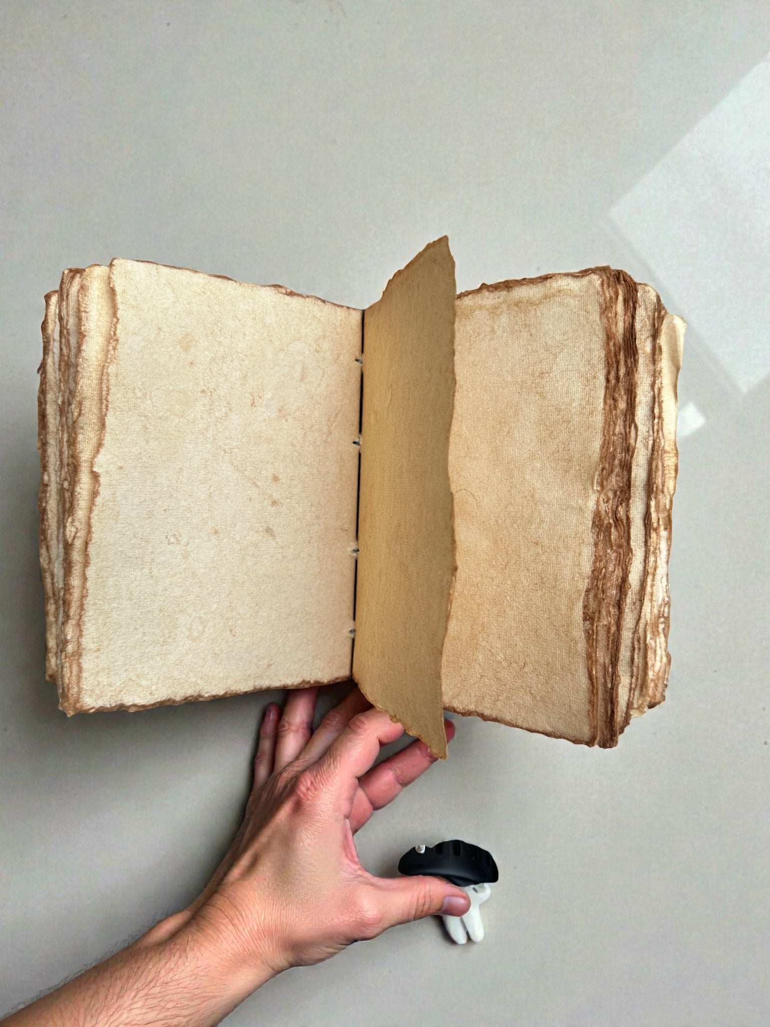 Just a Girl who Loves Books Deckle Journal